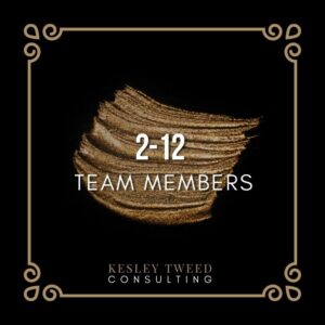 Consulting: 2-12 Members